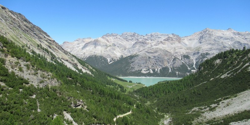 hd_gallovalmoratrela_senza titolo-16.jpg