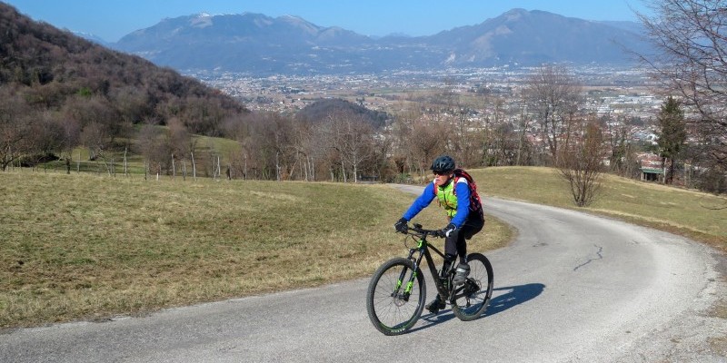 hd_collimaladensi (6).jpg