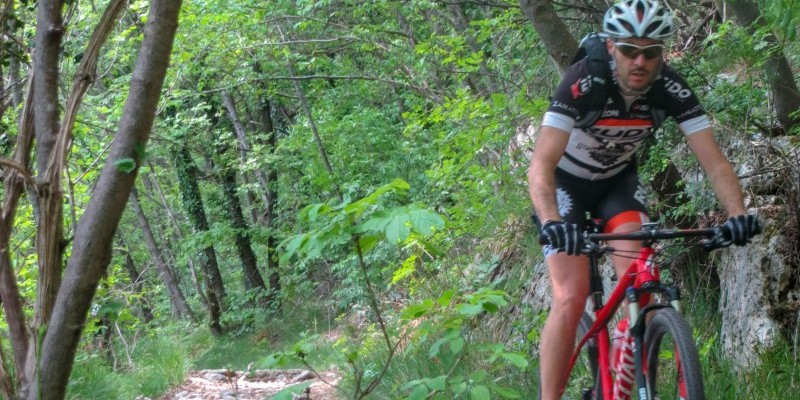 HD_collialti (7).jpg