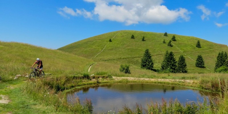 HD_travprealpina (3).jpg