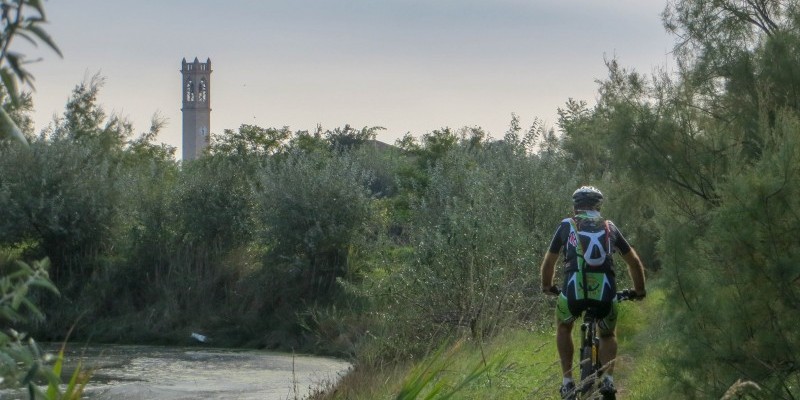 HD_liopiccolo (4).jpg