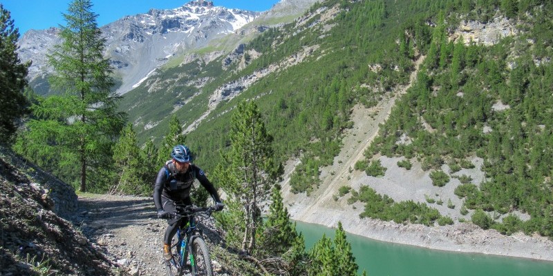 hd_gallovalmoratrela_senza titolo-5.jpg