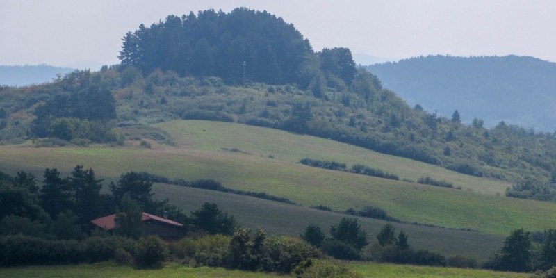 nestbike-via-degli-dei-itinerario-mtb (6).jpg