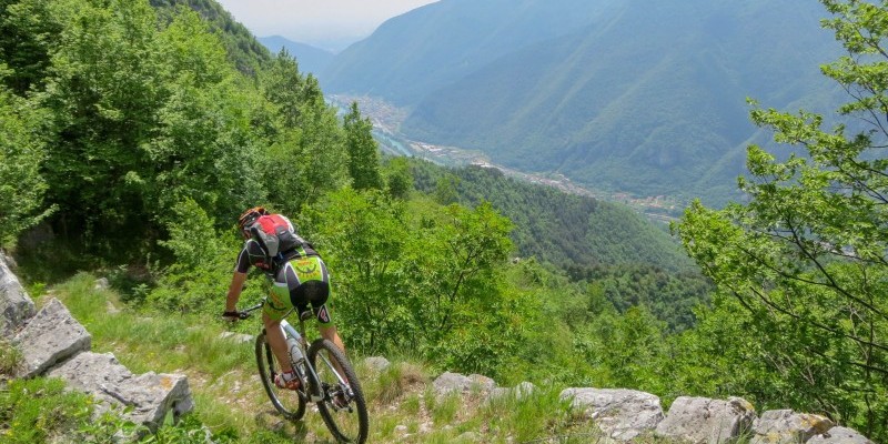 Cima Grappa - Trail 20/36 - Nest.bike Percorsi e Itinerari in mountain bike