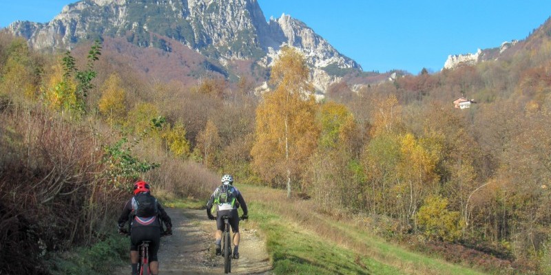 hd_grandialberi (2).jpg