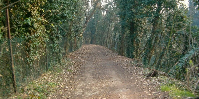 hd_RELAXSILE (2).jpg