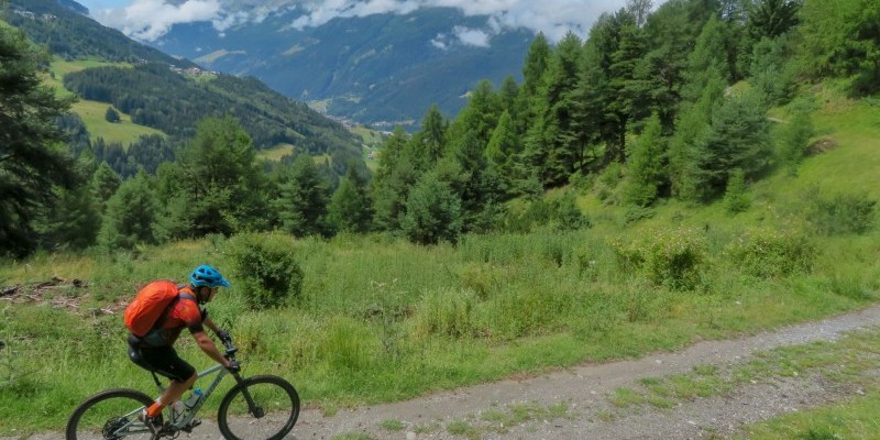 nestbike_val-zebru-2.jpg