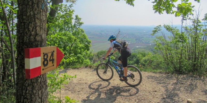 hd_bericifimon{Nome file»}-5.jpg