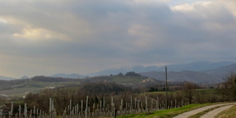 HD_vittorio_collineest (1).jpg