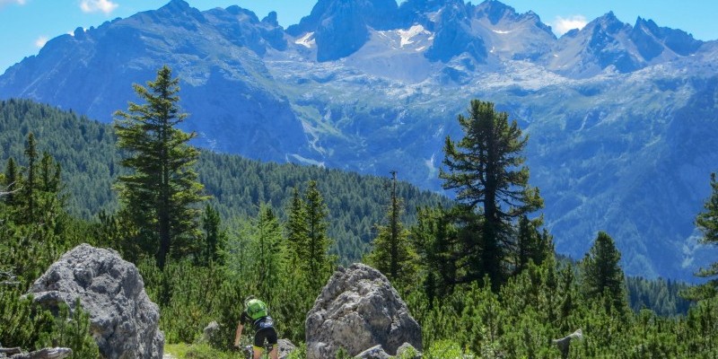 laghimisurina (4).jpg