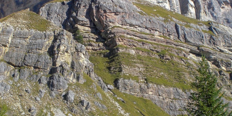 HD_tofanarozes (2).jpg