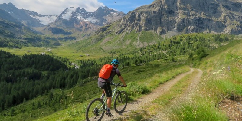 nestbike_val-viola-alpe-boron-4.jpg