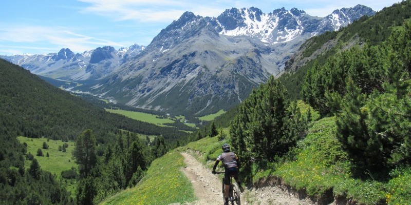 hd_gallovalmoratrela_senza titolo-13.jpg