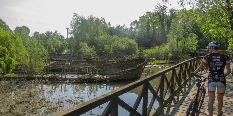 HD_trevisovenezia (1).jpg