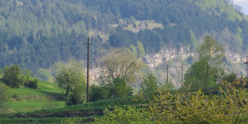 HD_grestacreino (7).jpg