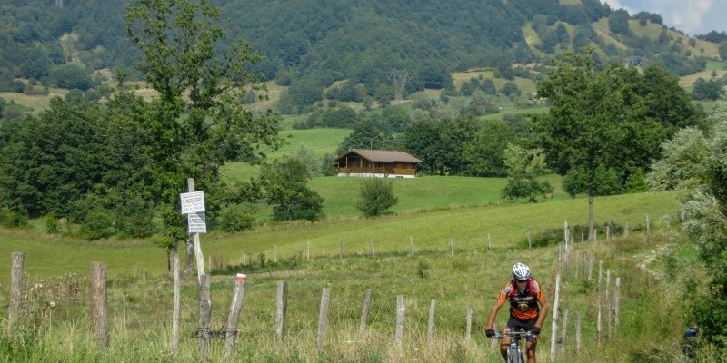 nestbike-via-degli-dei-itinerario-mtb (3).jpg