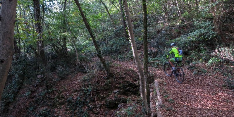 HD_monteberico (3).jpg