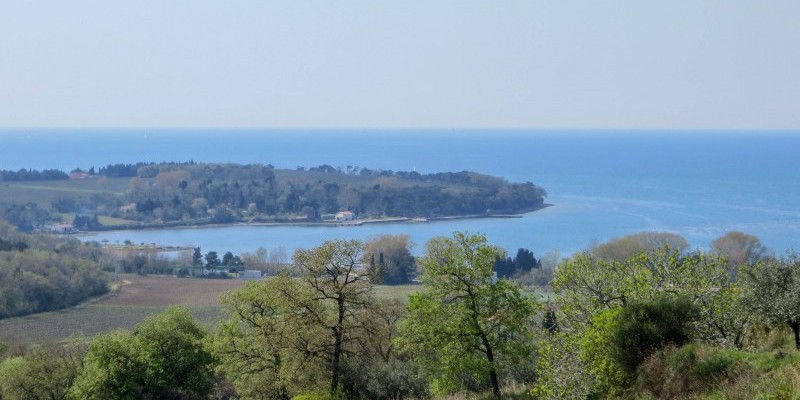 HD_rosandramuggia (4).jpg