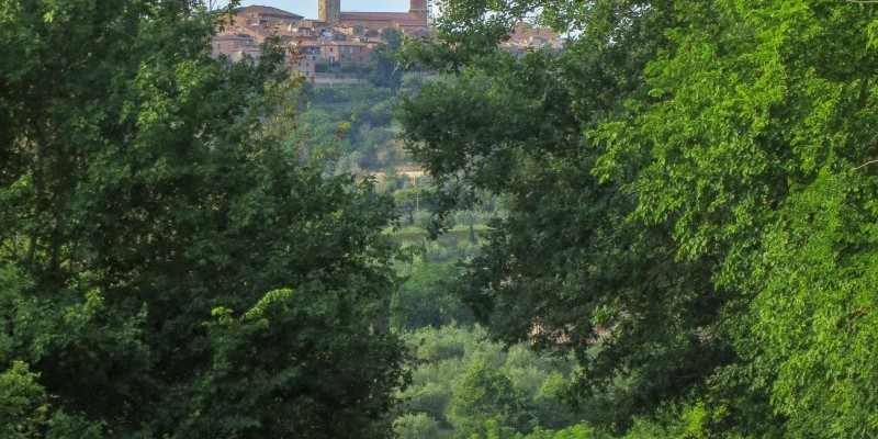 cittapieve (2).jpg