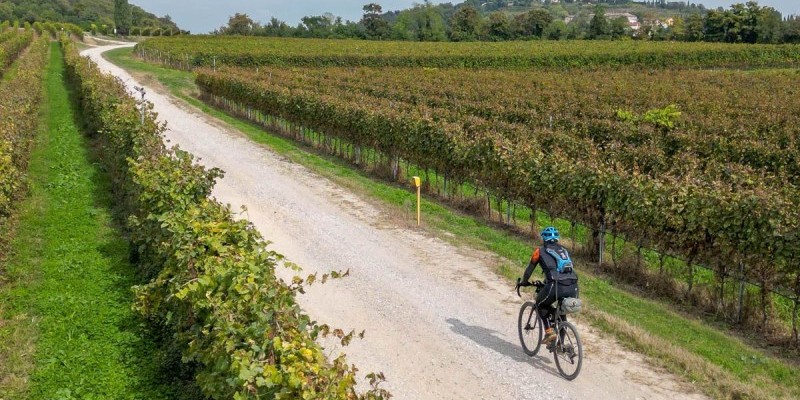 nestbike_garda-mincio-custoza_percorso-gravel-7.jpg