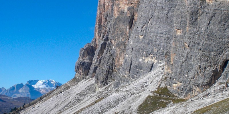 HD_tofanarozes (3).jpg