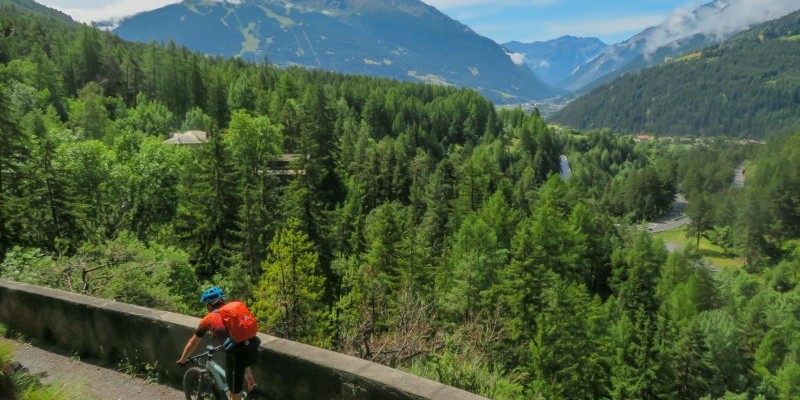 nestbike_val-zebru.jpg