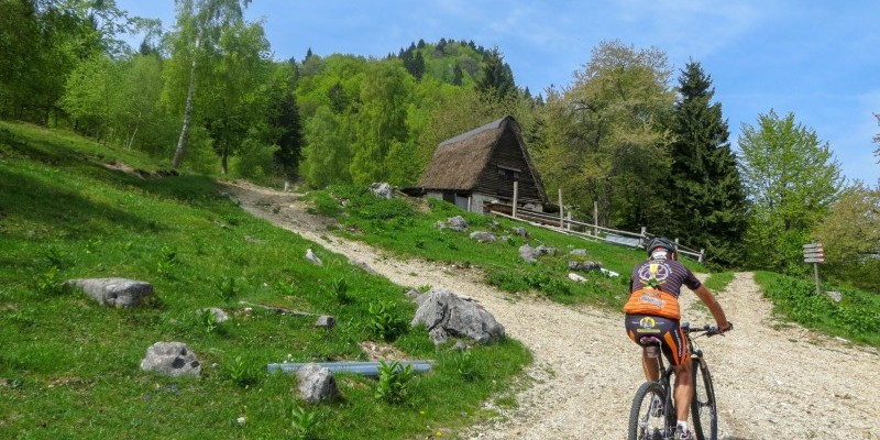 HD_transgrappa2 (4).jpg