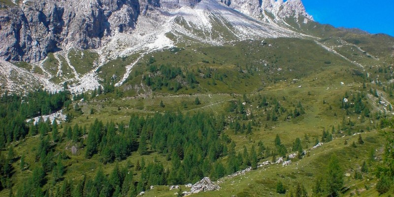 hd_valvisdende (1).jpg