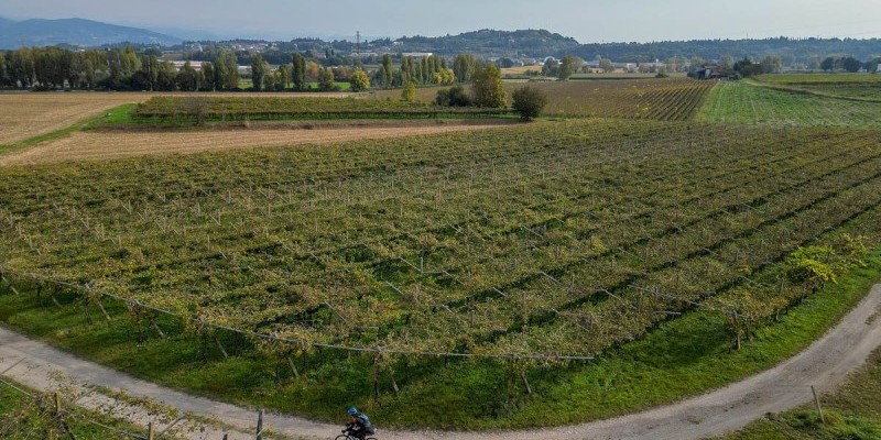 nestbike_garda-mincio-custoza_percorso-gravel-2.jpg