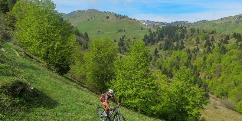 HD_transgrappa2 (3).jpg