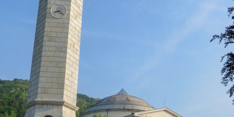 HD_transgrappa2 (7).jpg