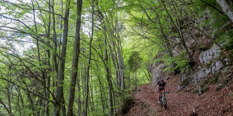 HD_totoga_vederna (3).jpg