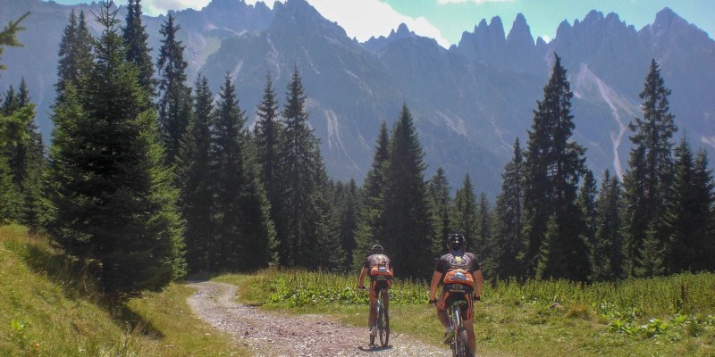 hd_valvisdende (4).jpg