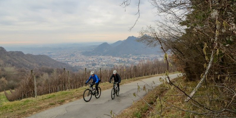 HD_vittorio_collineest (3).jpg