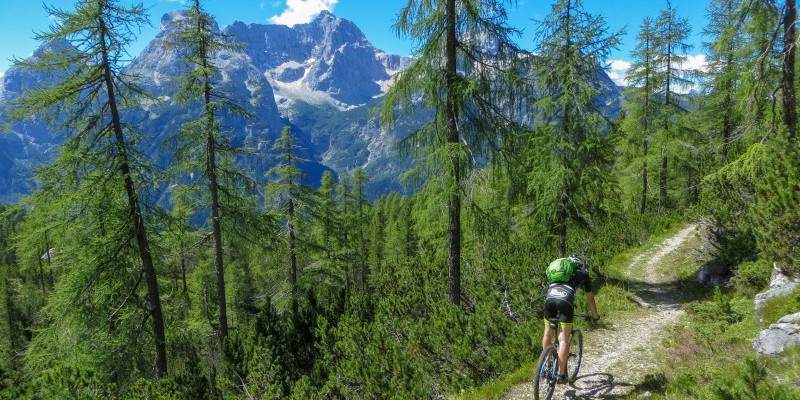 laghimisurina (5).jpg