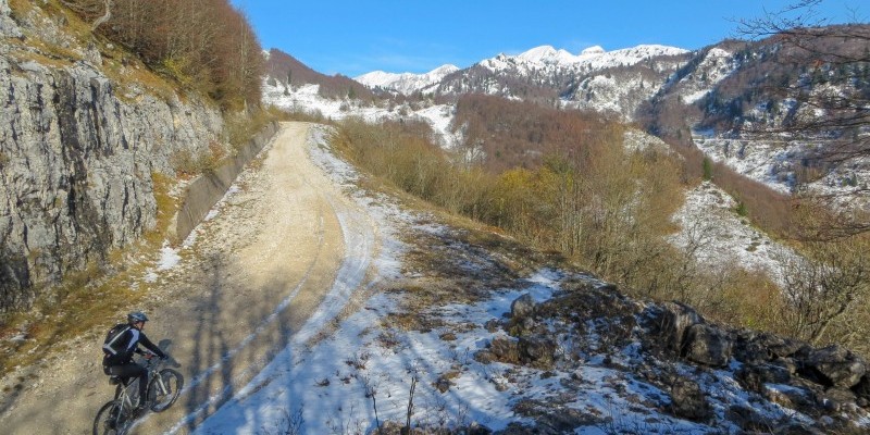 HD_busdelgias (4).jpg