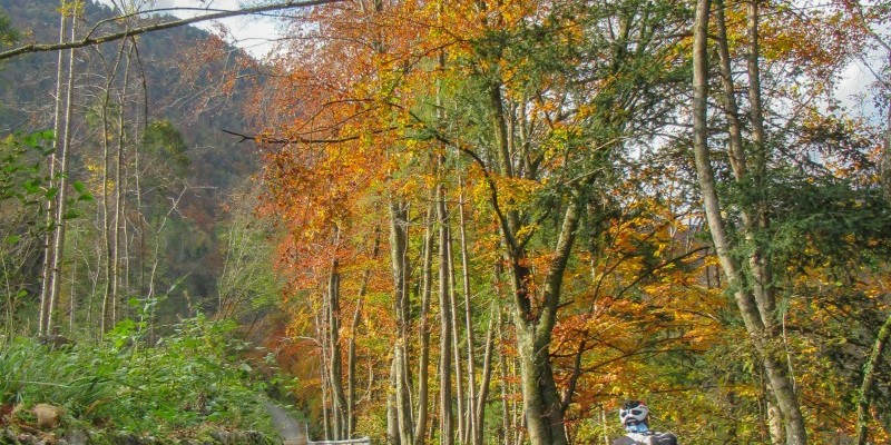 hd_valgrisol_IMG_2540.jpg