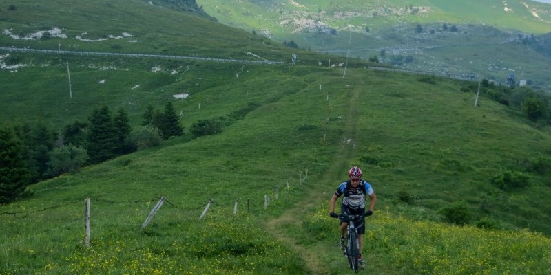 hd_cimagrappa70 (1).jpg