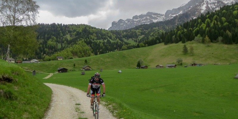 HD_totoga_vederna (7).jpg