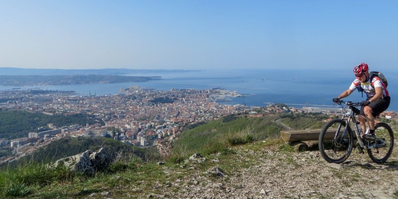 HD_rosandramuggia (1).jpg