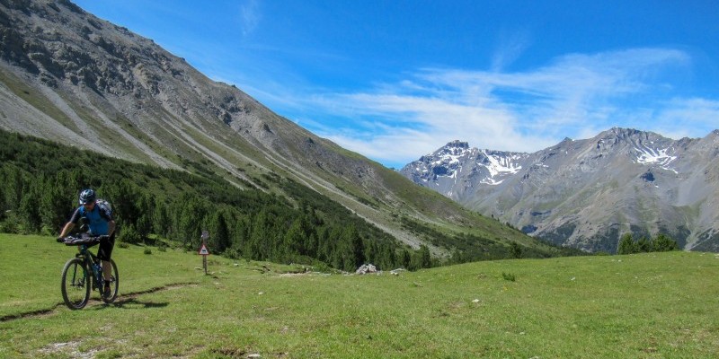 hd_gallovalmoratrela_senza titolo-8.jpg