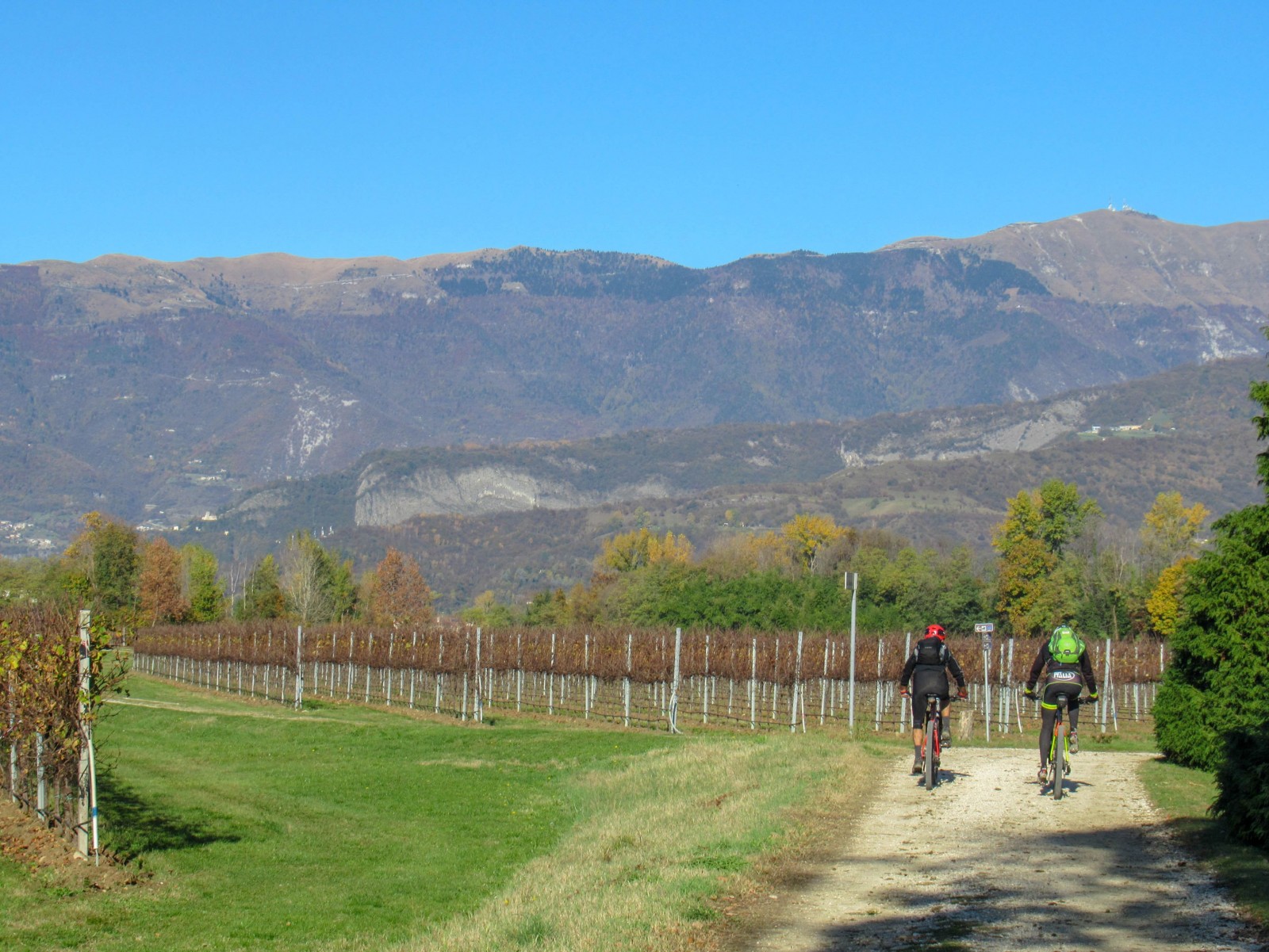 Vittorio I sentieri più belli nest.bike Percorsi e Itinerari in MTB e gravel Vittorio I sentieri più belli nest.bike Percorsi e Itinerari in MTB e gravel
