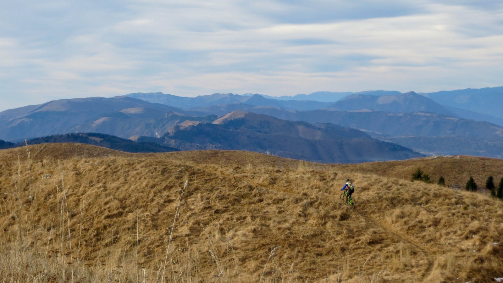 Col Visentin - Cresta delle Agnelezze - nest.bike Percorsi e Itinerari ...