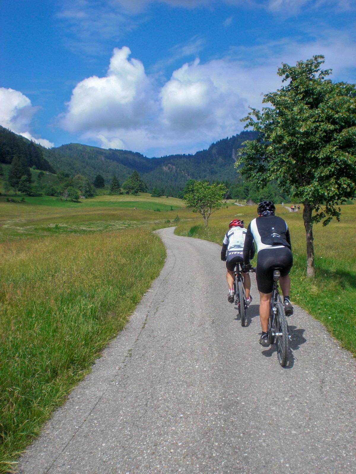 Black Forest Ultra Bike Marathon nest.bike Percorsi e Itinerari in