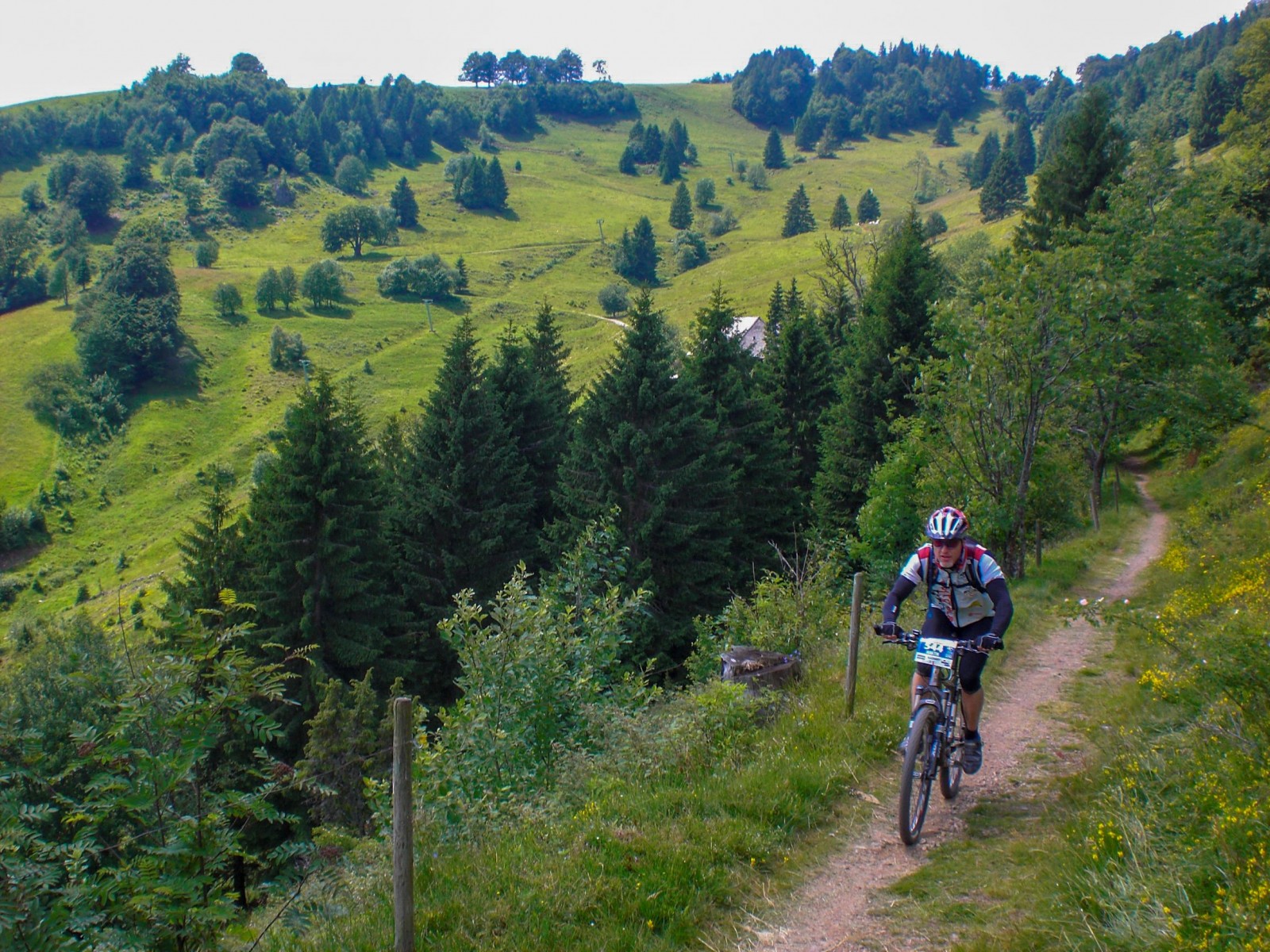 Black Forest Ultra Bike Marathon nest.bike Percorsi e Itinerari in