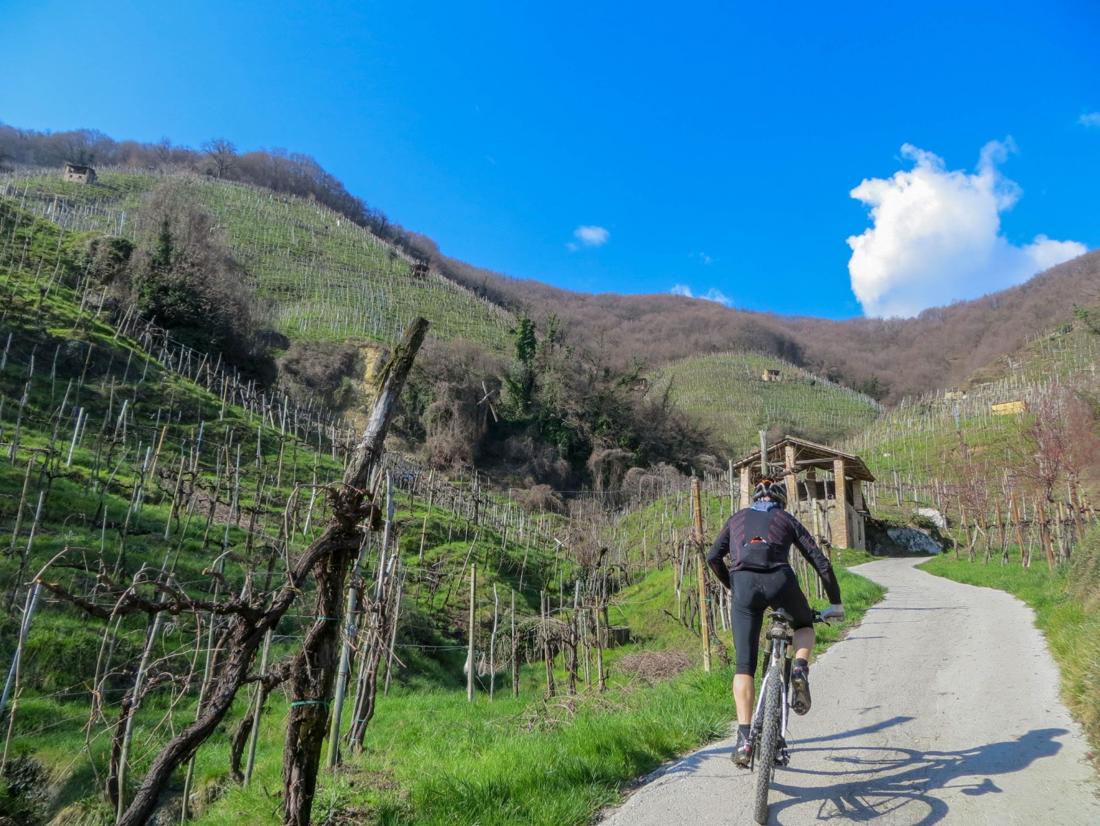 Quartier del Piave nest.bike Percorsi e Itinerari in MTB e gravel