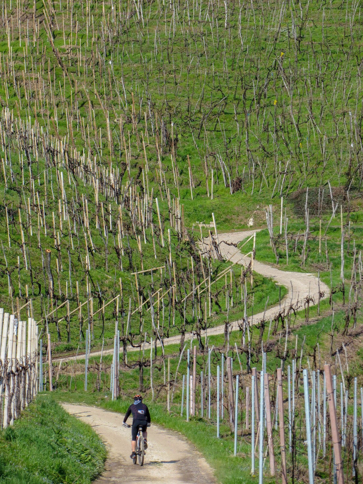 Quartier del Piave nest.bike Percorsi e Itinerari in MTB e gravel